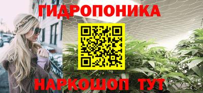 сатива Ставрополь