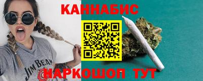 сатива Ставрополь