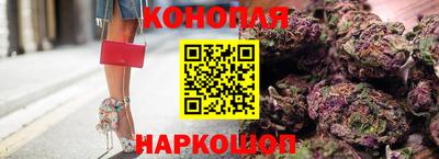 сатива Ставрополь