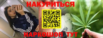 сатива Ставрополь
