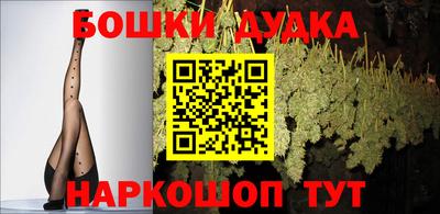 сатива Ставрополь