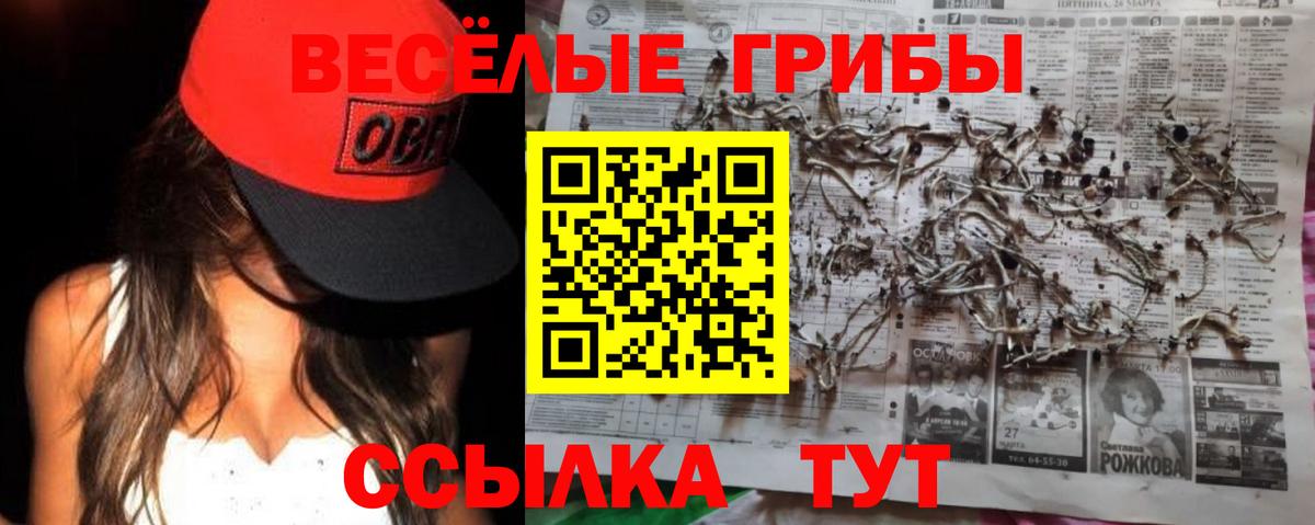 Псилоцибиновые грибы ЛСД Орехово-Зуево